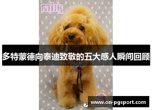 多特蒙德向泰迪致敬的五大感人瞬间回顾
